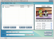 Nidesoft BlackBerry Video Converter screenshot